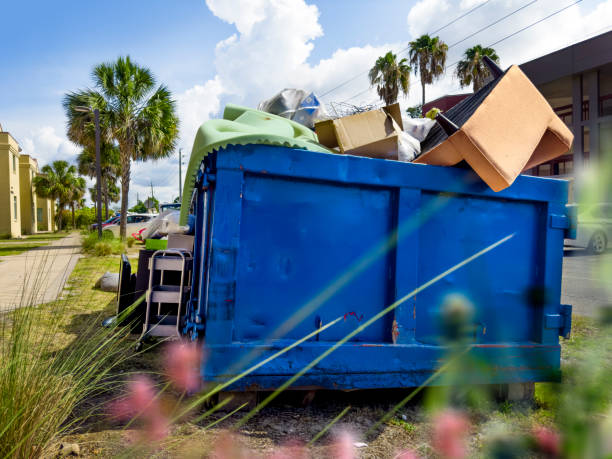 Yard Cleanup Services in County Center, VA